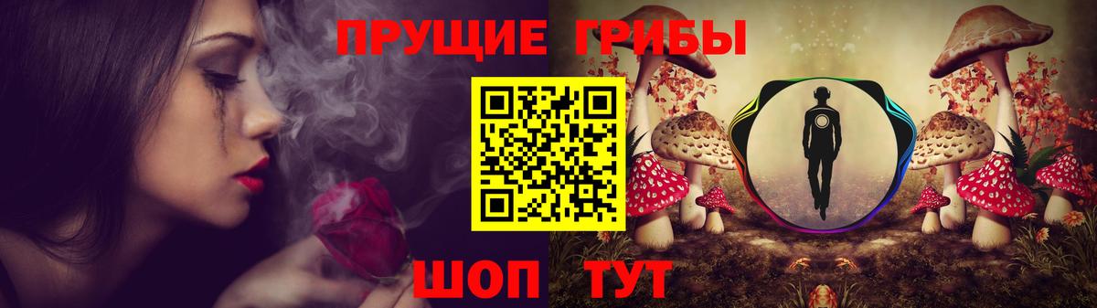 Галлюциногенные грибы Psilocybine cubensis Оренбург