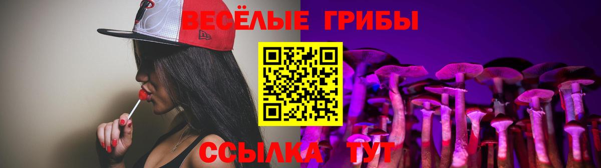 Галлюциногенные грибы GOLDEN TEACHER  Галлюциногенные грибы Psilocybine cubensis  Оренбург  магазин  наркотиков  Вход с VPN 